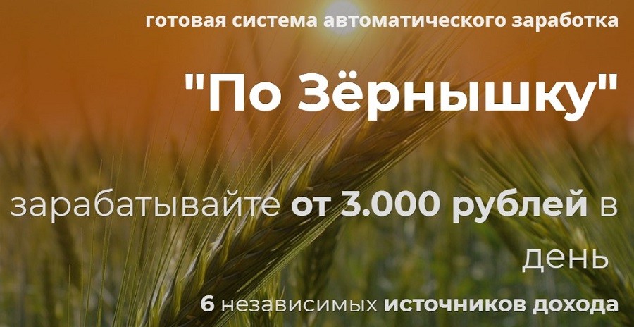 Начало Пути  — Отзывы о готовой системе заработка Дениса Орлова