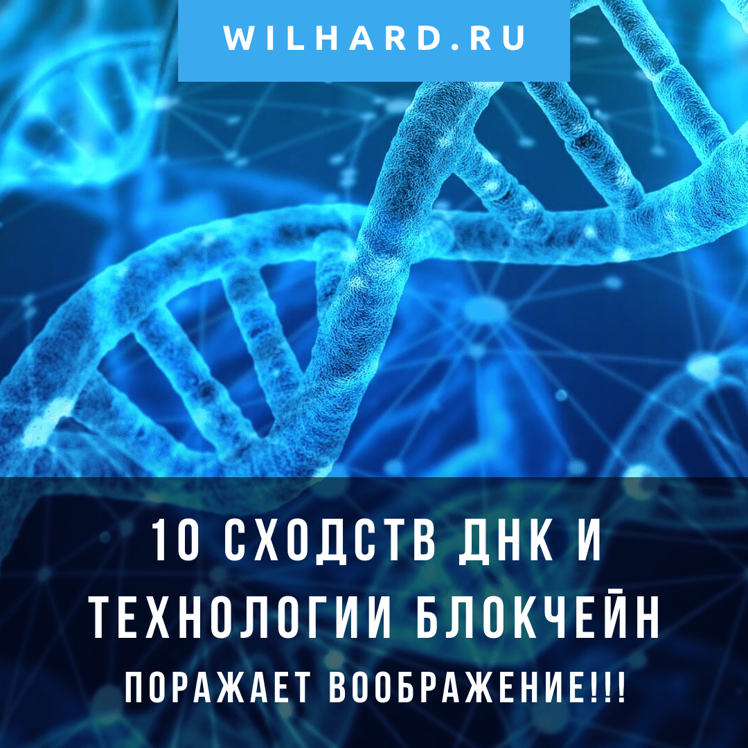 Сколько я зарабатываю на ЛокалБиткоинс: интервью с удачным трейдером