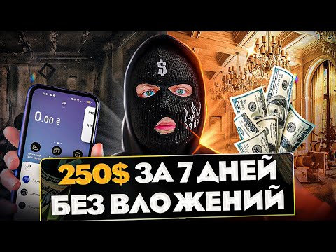 Зарабатывай 1000₽ за Каждое Сообщение в WhatsApp БЕЗ ВЛОЖЕНИЙ