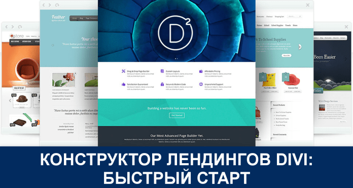 Как работать с Divi